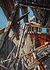 A retrospective on the work of watercolor artist Karen Leigh opens at FVCC