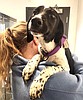 Seven hound puppies found in Wolf Lodge area