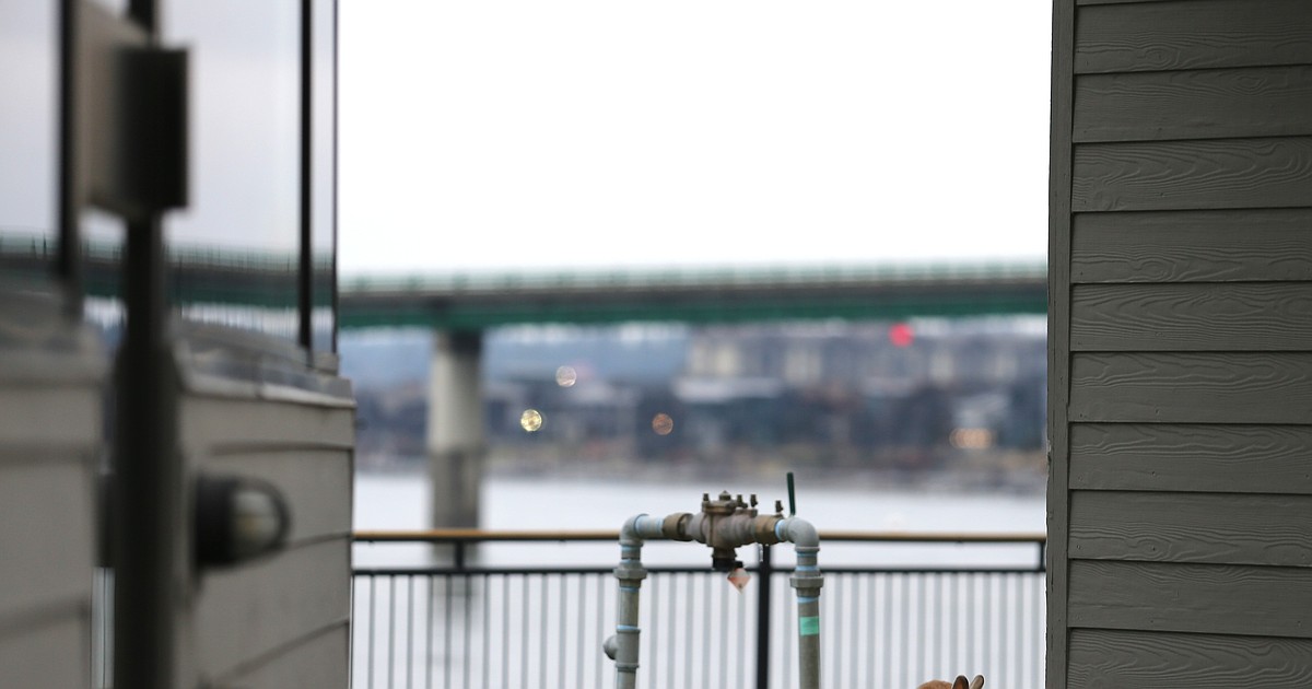 U of I requests Harbor Center sale