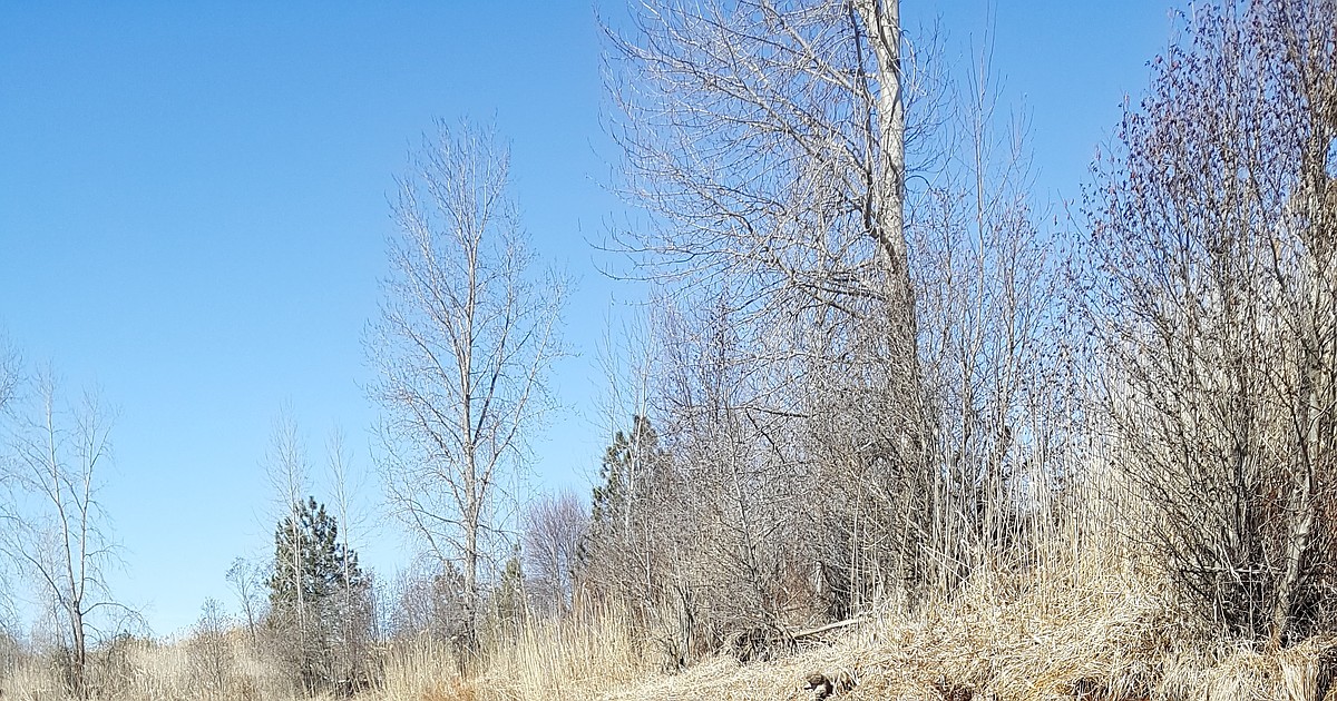 THE DIRT: Historic pollution study of the Coeur d’Alene Basin Pt. 3