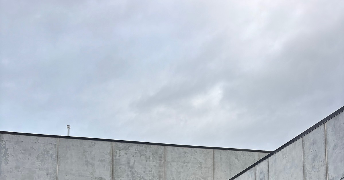 Pork from feral pigs distributed to Montana food banks