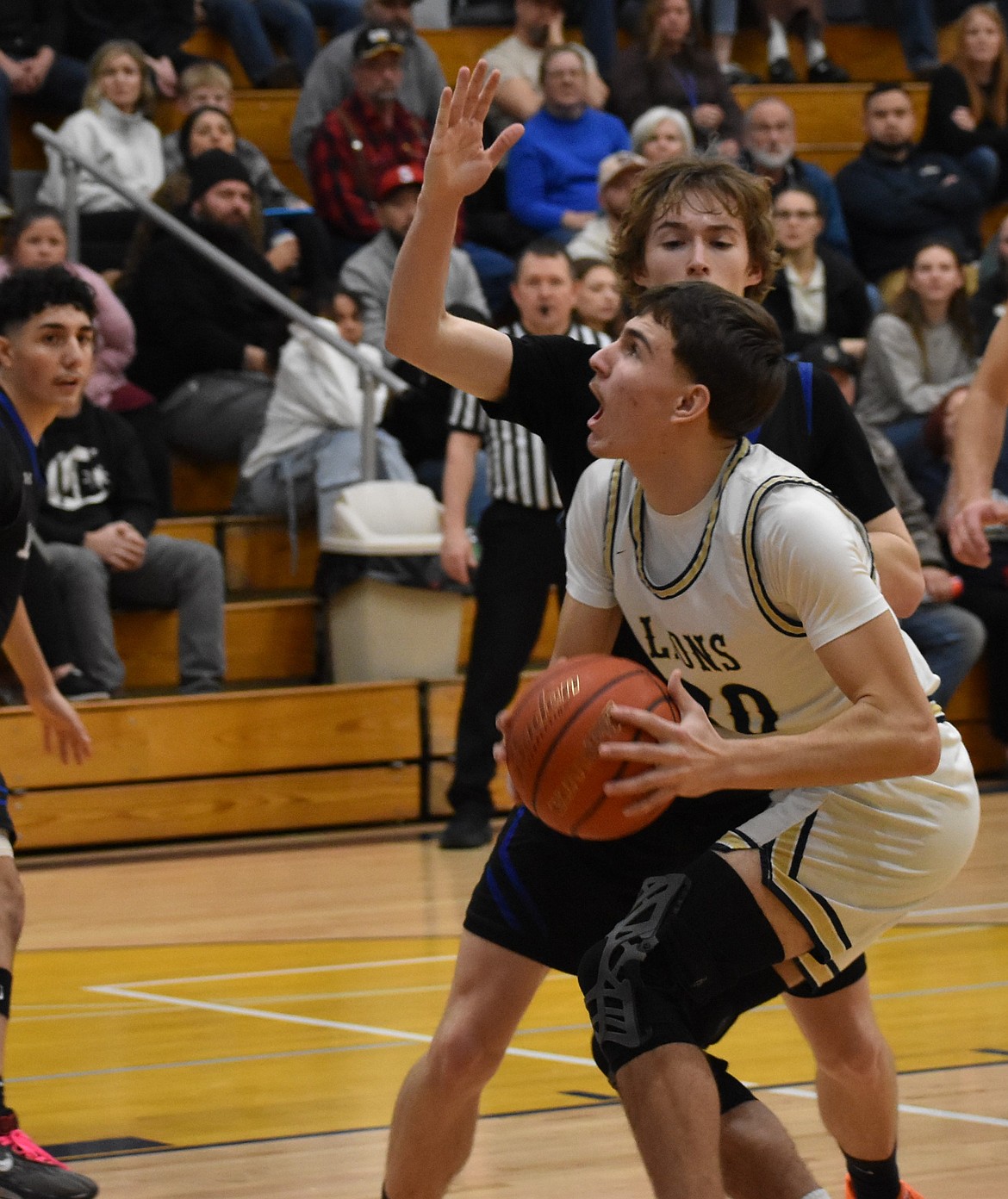 Lions freshman Roman Gulenko puts pressure on the net as he works to add two onto the score.