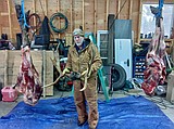 Cottonwood man receives lifetime hunting revocation for poaching
