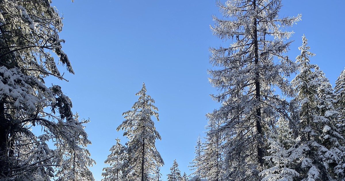 Western Montana starved for snow in January