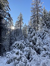 Western Montana starved for snow in January