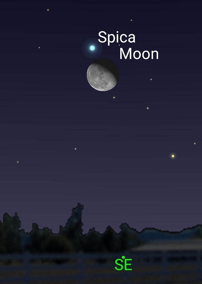 This image shows the conjunction of the Moon and Spica just after rising above the southeastern horizon. Image courtesy of John Taylor and Sky Safari Pro 7.