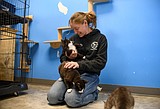 Mission Valley Animal Shelter plans for the future