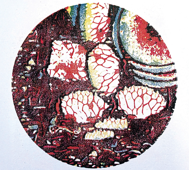 Art Faculty Exhibition opens Tuesday