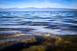 Authorities identify body found floating in Flathead Lake