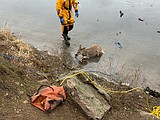 Trapped deer rescued from Fernan Lake