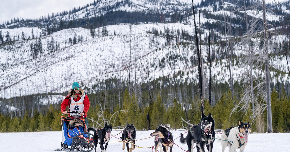 Idaho Sled Dog Challenge holds last race