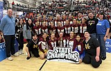 Mavs cheer successful in state competition
