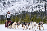 Idaho Sled Dog Challenge ending