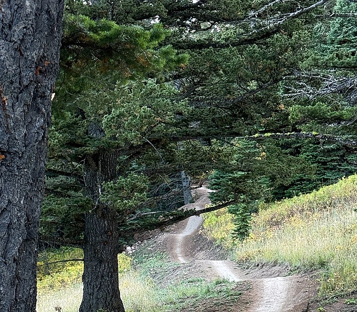 Local trail building company earns best trail award