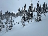Avalanche forecasters warn of ‘considerable’ slide risks after late-winter storm