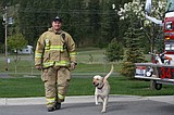 Tysdal has retired from CDAFD, department says