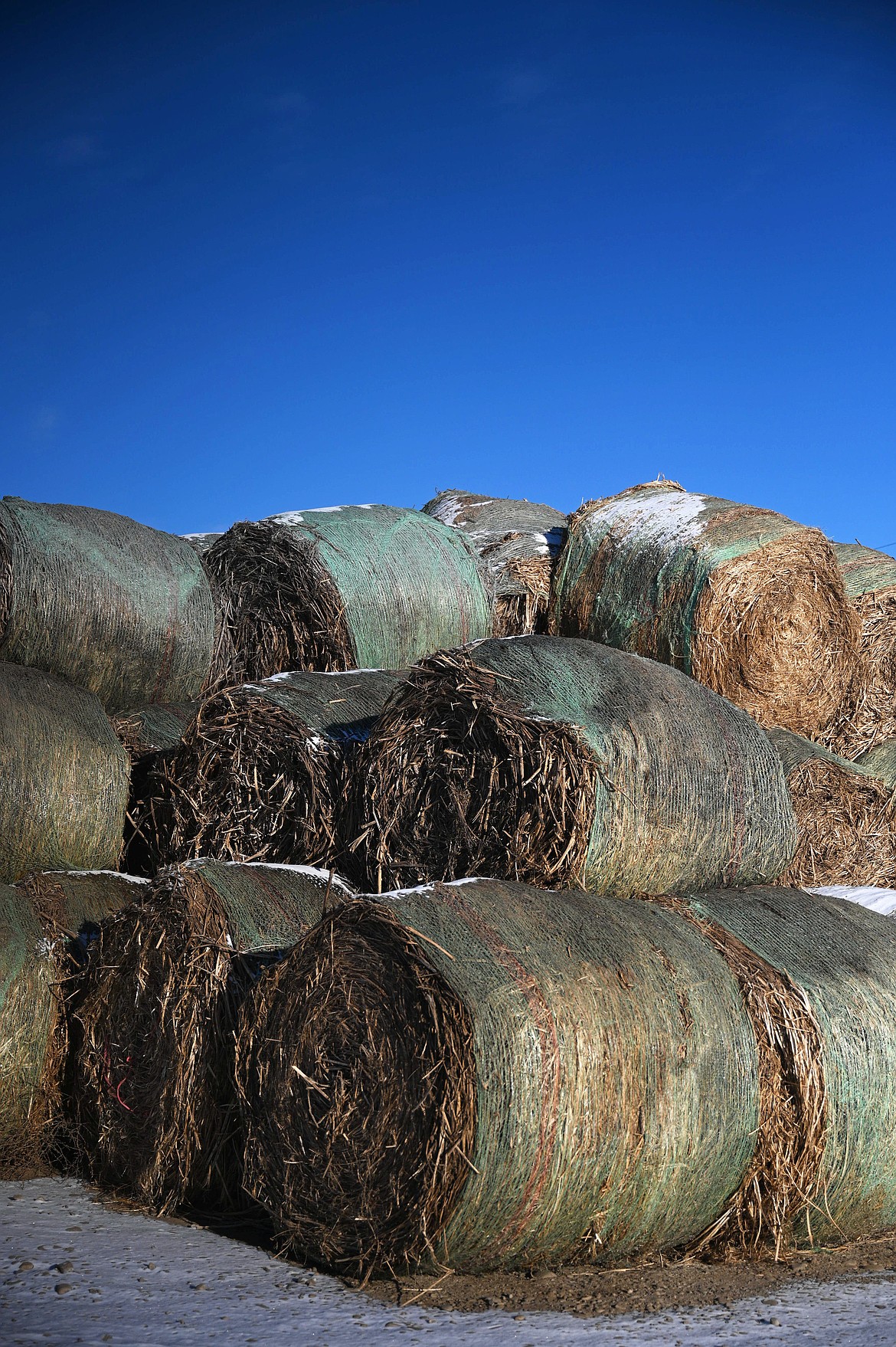 IND Hemp stores hemp from producers outside its warehouse to help it age, allowing the fiber to develop its structure, Jan. 23, 2026, in Fort Benton. (Lauren Miller, Montana Free Press, CatchLight Local/Report for America)