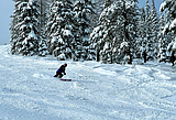 Powder, sunshine, and open terrain. Oh my!
