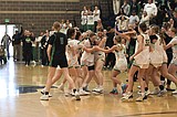 STATE 5A GIRLS BASKETBALL: Hawks let it fly, finish third