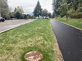 OUR GEM: How Coeur d’Alene protects our lake