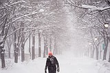 Millions are stuck at home due to blizzard warnings and travel shutdowns in northeastern US