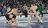 Tigers cap season with 2 on the podium