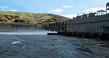 Judge orders changes to Columbia and Snake river dam operations to help 'disappearing' salmon