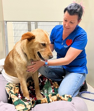 BTAA shares 2025 annual report