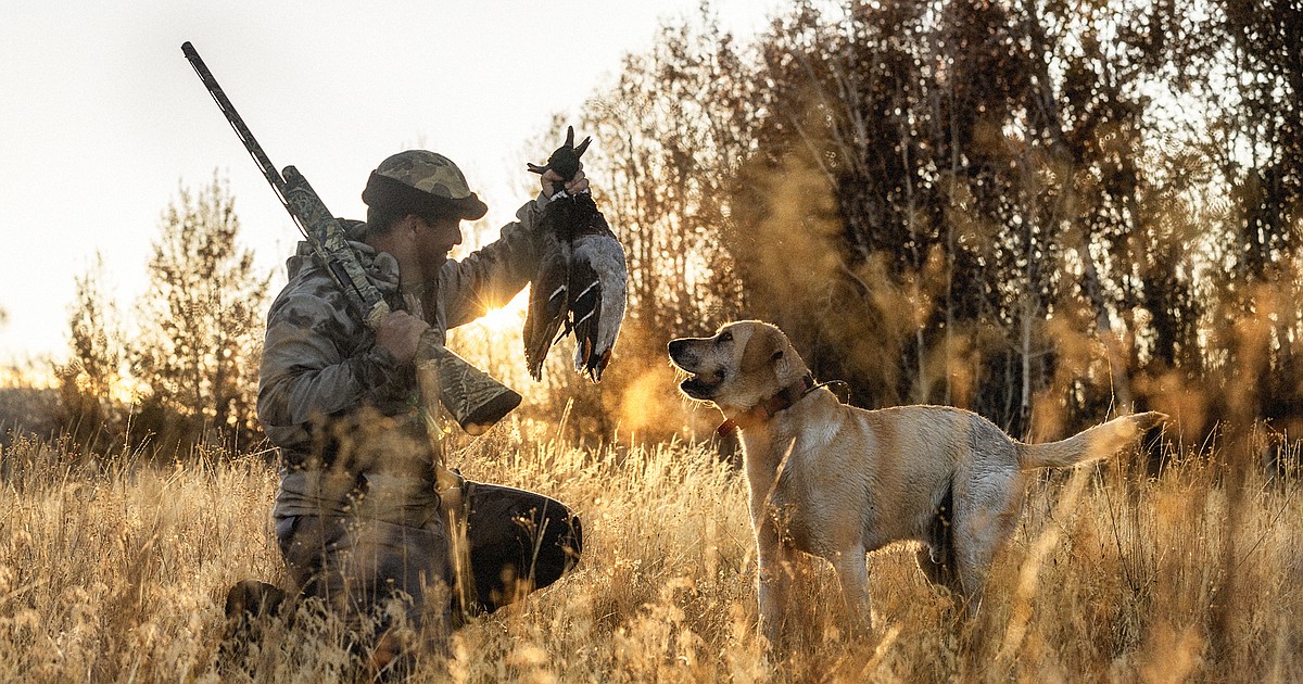 IFG seeking public input for upcoming migratory game bird season