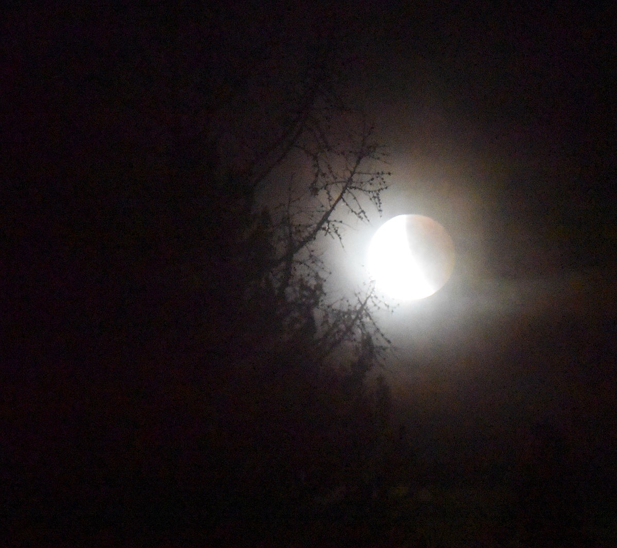 Blood Moon Rising | Hagadone News Network