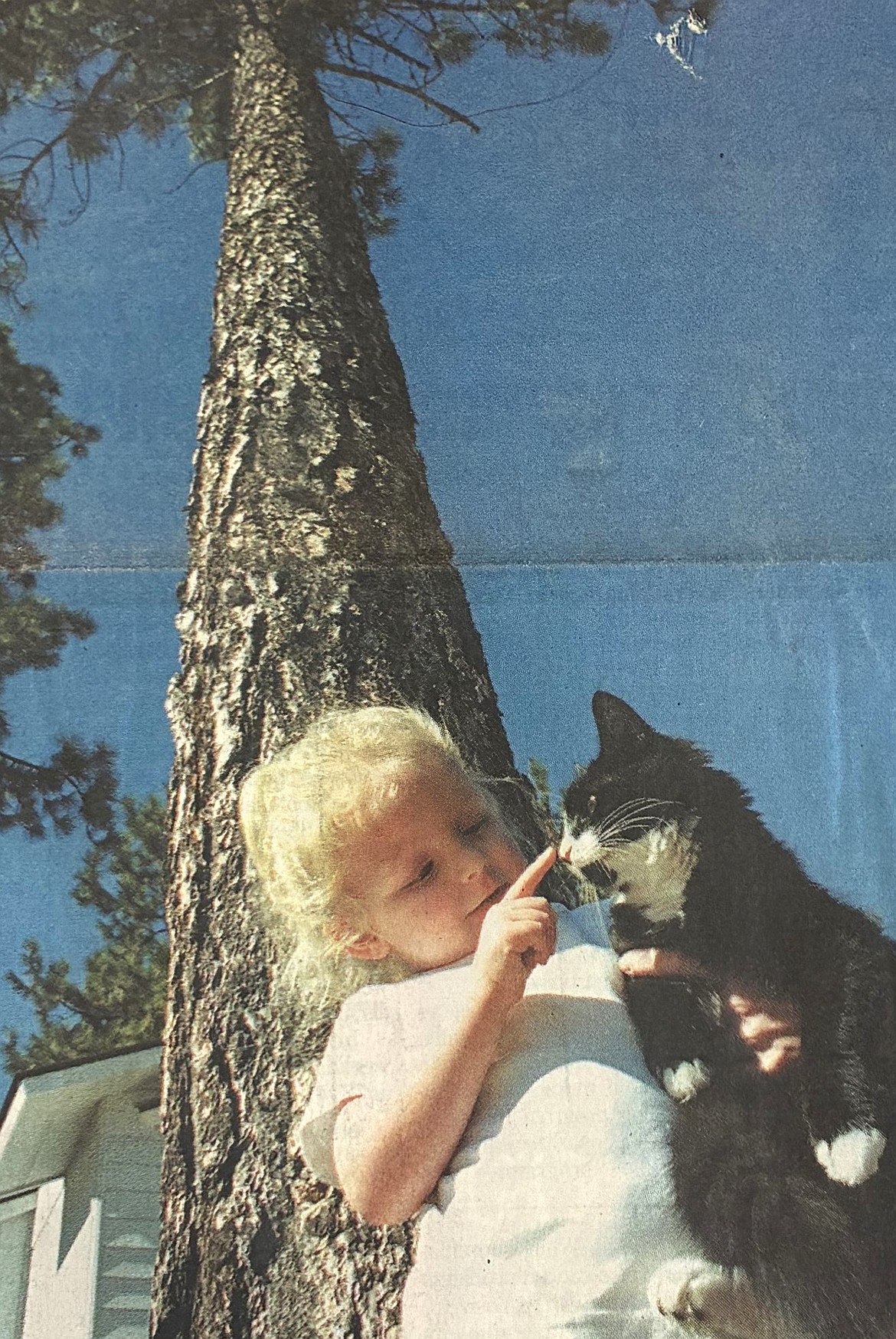 Baylie Miller, 2, plays with Blaze, her cousin’s tree-climbing cat, in 2001.