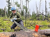 Spring cleaning ahead: Trail crews gear up for cleanup after winter windstorm