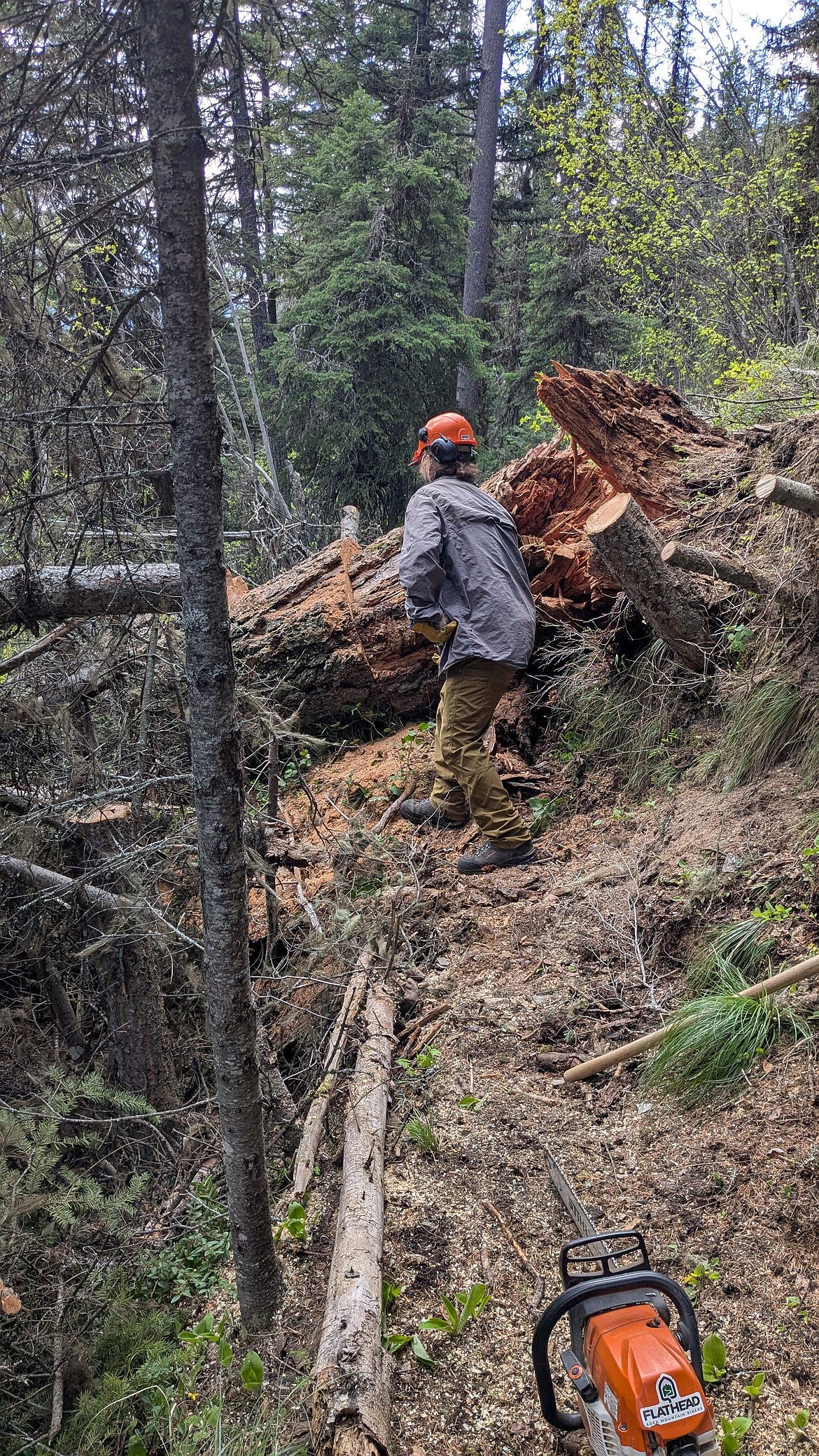 Photo courtesy of Flathead Area Mountain Bikers.