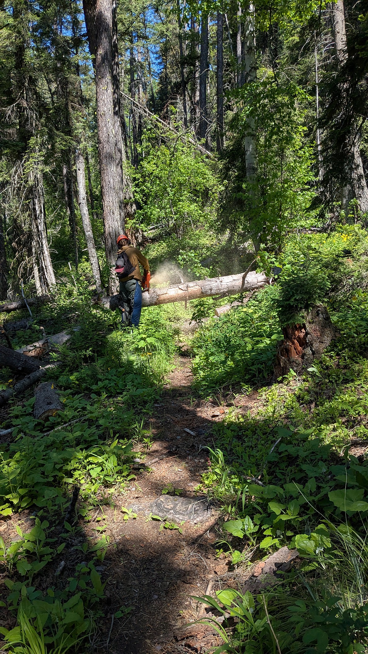 Photo courtesy of Flathead Area Mountain Bikers.