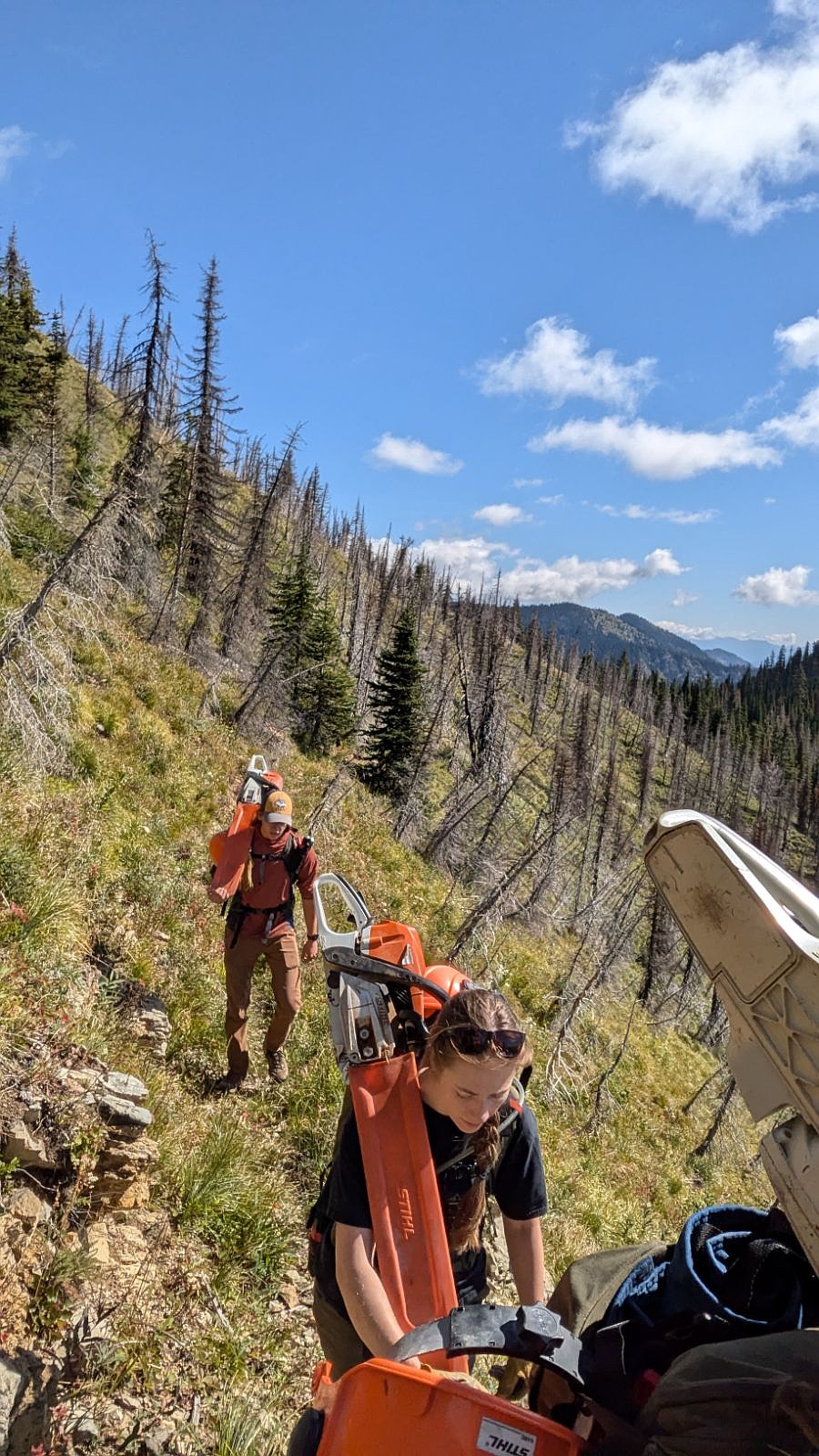 Trail crew works on Taylor Hellroaring Project. (Courtesy of Flathead Area Mountain Bikers)