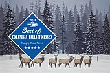 Nominations open for Best of Columbia Falls contest
