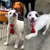 Love isn’t just for February