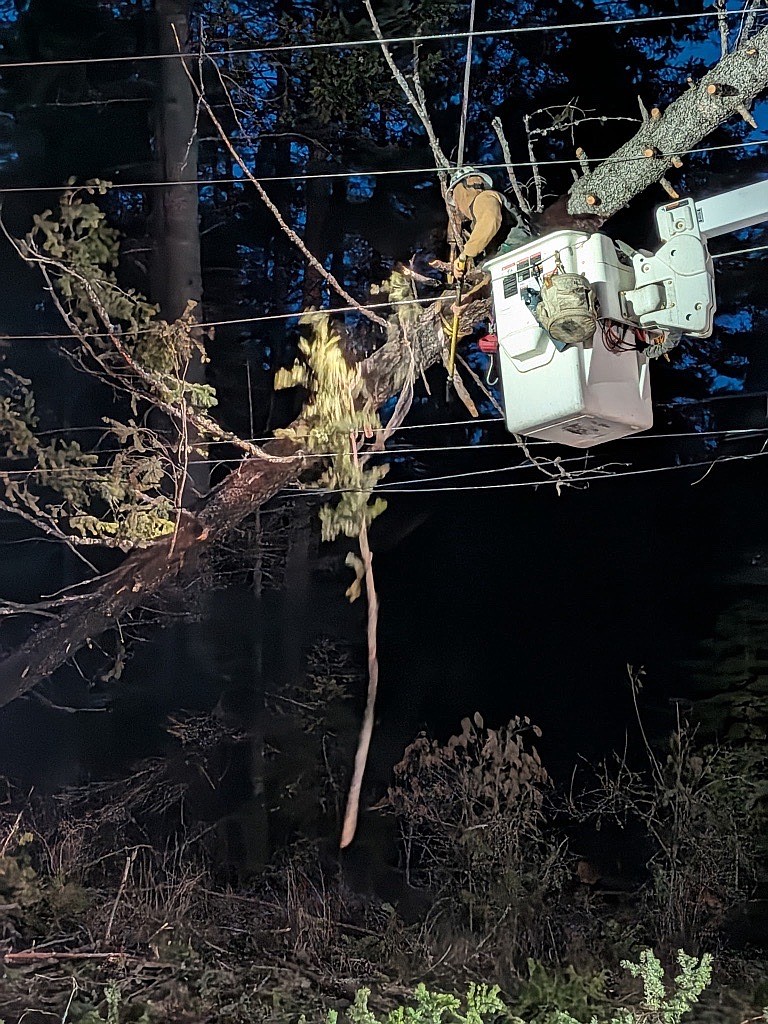 Kootenai Electric Cooperative crews drop a branch from a fallen tree during cleanup after an early morning windstorm Thursday.