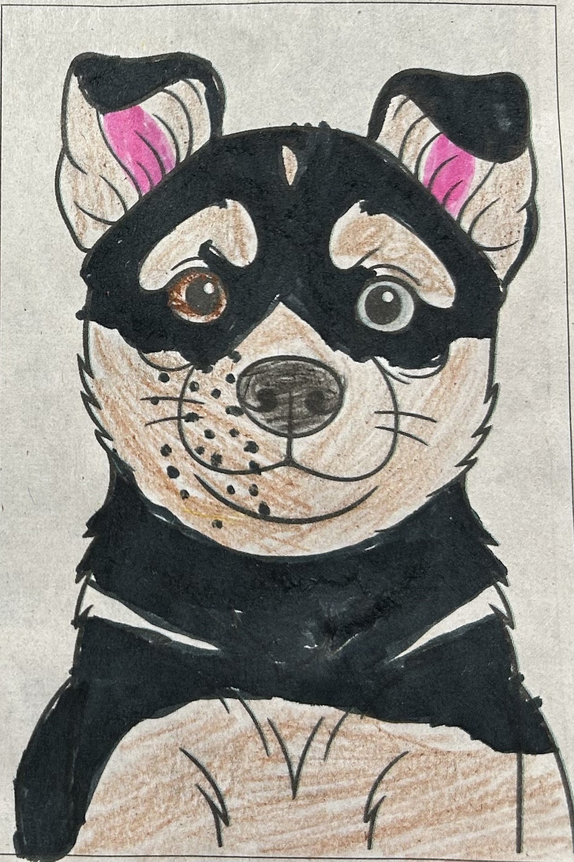 Ashlynn, age 11, put a lot of effort into this smiling picture of Akira with pink ears and a ton of happy to share with the world.