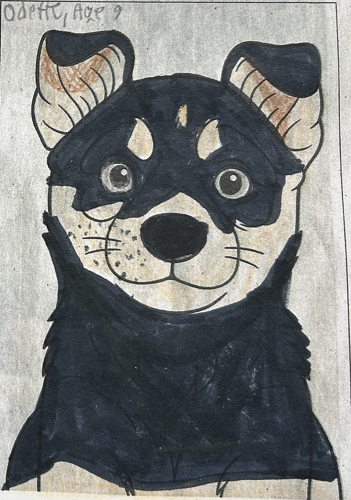 Odette, age 9, submitted this photo of Akira. Puppies and children continue to be a winning combination. We especially like the way this version makes Akira's smile pop.