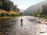 Western Rivers Conservancy transfers 585 acres along St. Joe River to Forest Service