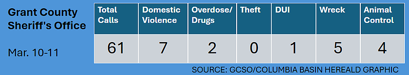 GCSO logs for March 10-11