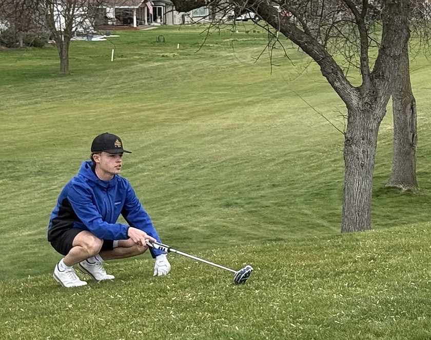 Cougars sophomore Everett Cox lines up a put during the opening meet of the golf season.