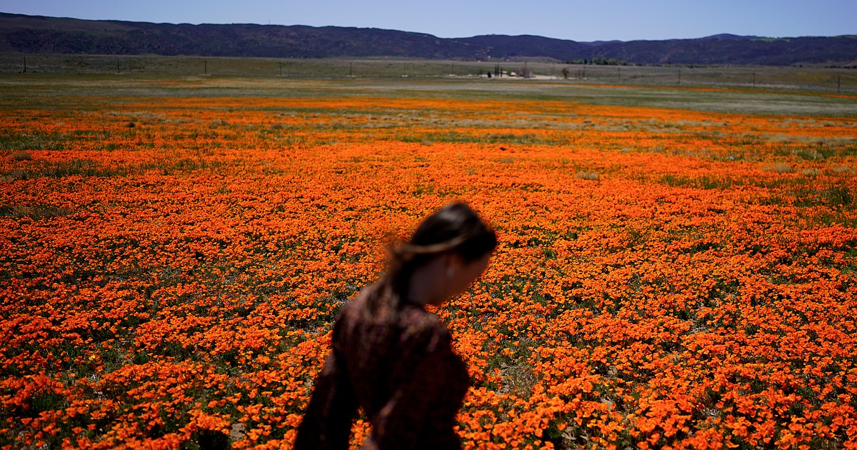 Want to survive allergy season? Here's how to protect yourself