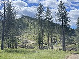 BLM moves to reduce wildfire risk in North Idaho