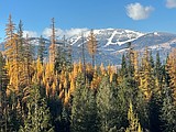 Conservation project protects 22,000 acres in North Idaho