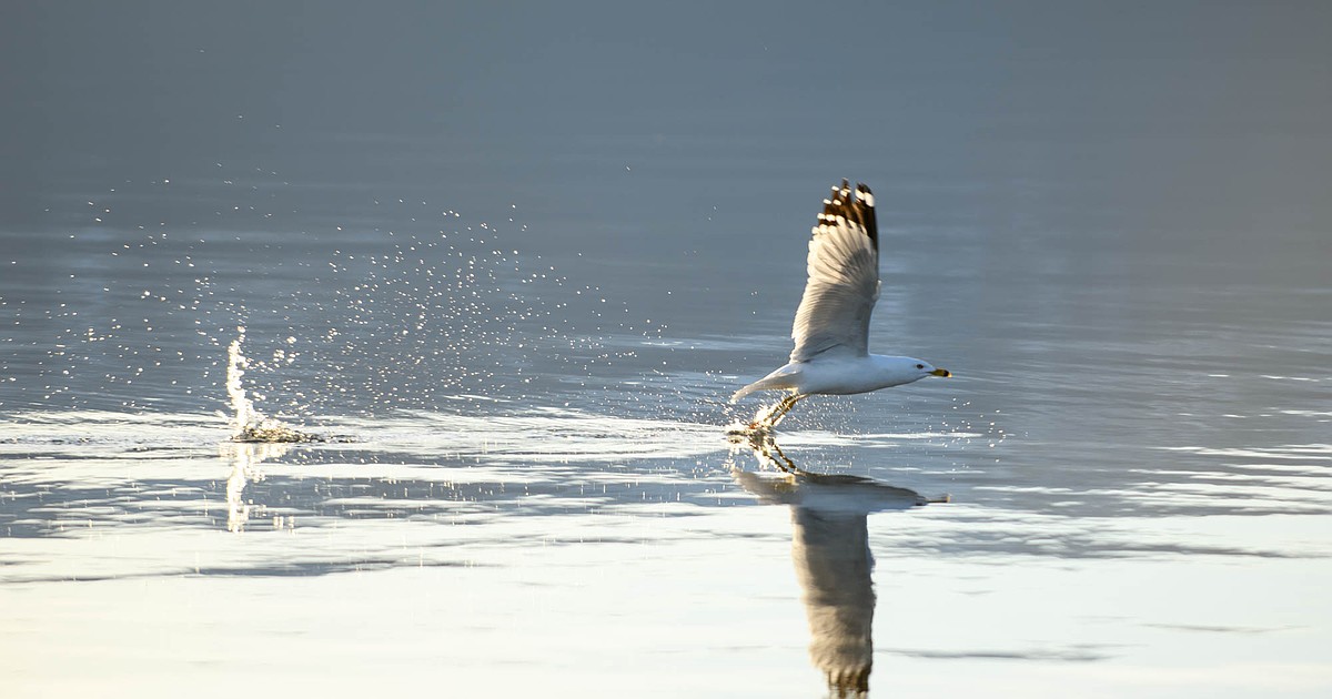 Despite March storms, warm weather causes early snowmelt
