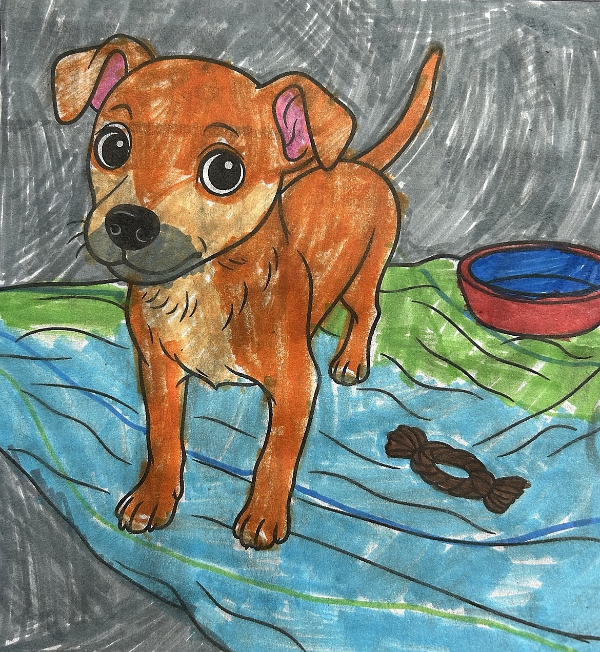 Thank you to 11-year-old Ashlynn whose mom, Jessie, helped her submit her coloring of Bobo from last week's pet coloring page.