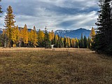 Conservation easement secures wildlife habitat near Jewel Basin