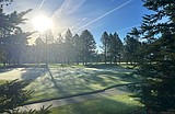 Agencies team up for trees